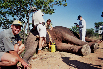 Mit Daktari in Afrika: Tierarzt Safari in Südafrika Mit Daktari in Afrika: Tierarzt Safari in Südafrika